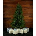 Almo Fulfillment Services Llc Fraser Hill Farm Artificial Christmas Tree - 6.5 Ft. Southern Peace Pine - Clear LED Lighting FFSP065-5GR